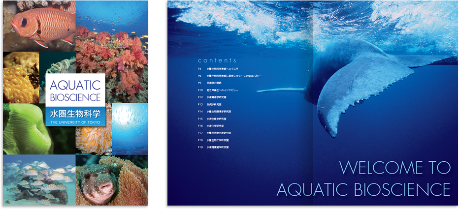 東京大学大学院農学生命科学研究科様 採用パンフレットデザイン実績1