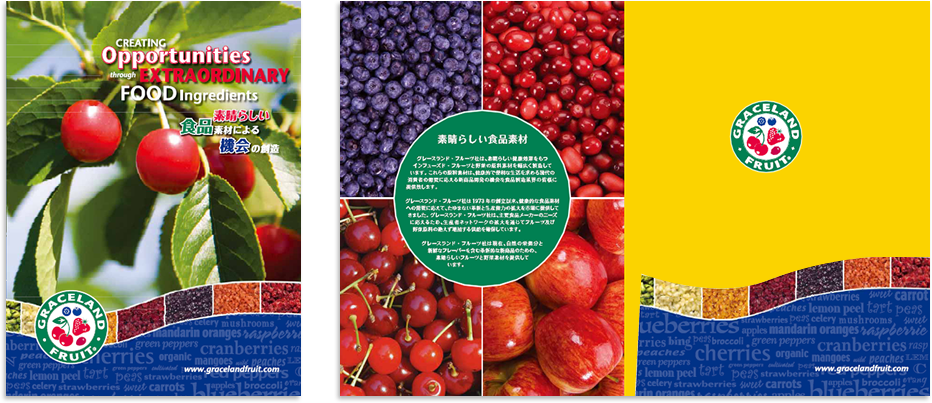 ワールドスコープ様 カタログデザイン実績