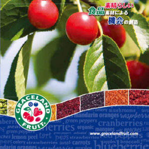 ワールドスコープ株式会社 様 製品カタログ制作実績：新鮮な国産いちご、ブルーベリー、レモンを使ったワールドスコープの高品質ジャム