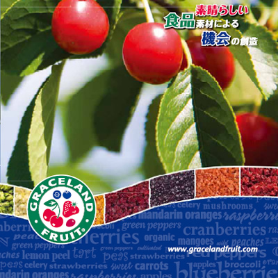 ワールドスコープ株式会社 様 製品カタログ制作実績：新鮮な国産いちご、ブルーベリー、レモンを使ったワールドスコープの高品質ジャム