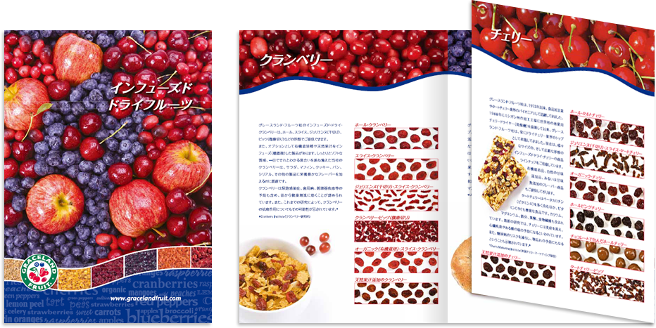 ワールドスコープ様 カタログデザイン実績