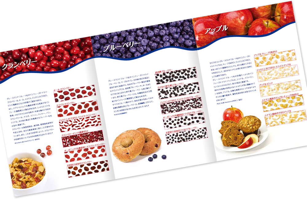 ワールドスコープ様 カタログデザイン実績