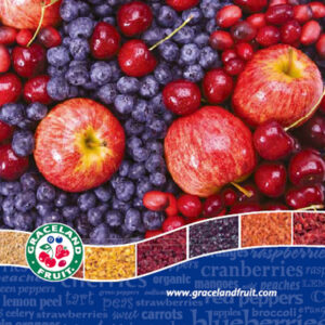 ワールドスコープ株式会社 様 製品カタログ制作実績：新鮮な赤紫色の野菜と果物