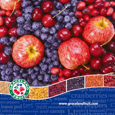 ワールドスコープ株式会社 様 製品カタログ制作実績：新鮮な赤紫色の野菜と果物