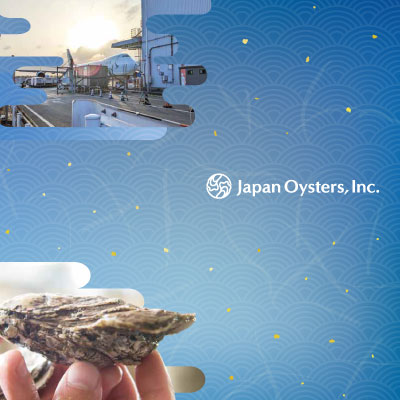 日本石花株式会社 様 会社案内制作実績：青海波模様と淡い青色を基調とした日本石花株式会社の会社案内