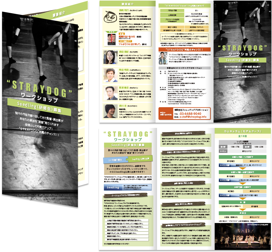 ストレイドッグプロモーション様 リーフレットデザイン実績