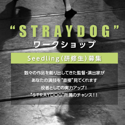 有限会社ストレイドッグプロモーション 様 リーフレット制作実績：ストレイドッグプロモーションロゴ