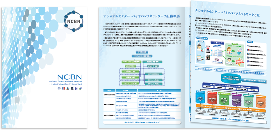 NCBN中央バイオバンク様 パンフレットデザイン実績