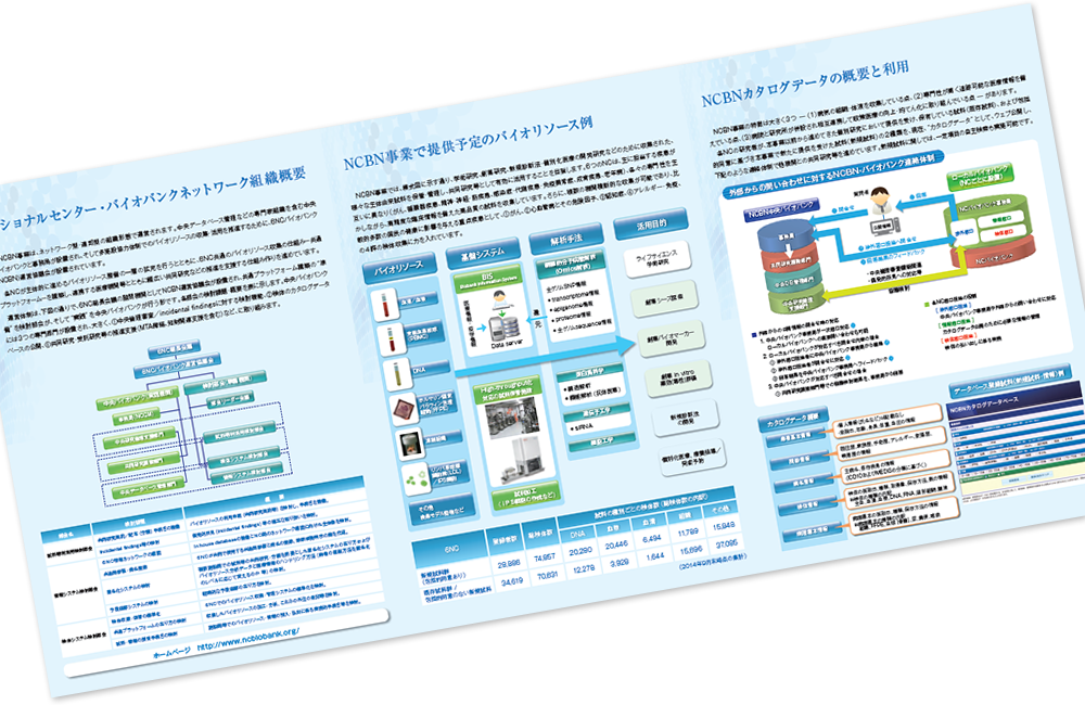 NCBN中央バイオバンク様 パンフレットデザイン実績