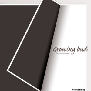 株式会社CHINTAI 様 採用パンフレット制作実績：CHINTAI採用サイトの社員インタビュー写真